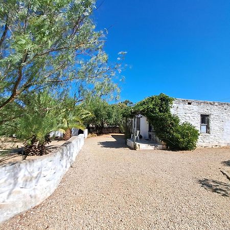 Olive Grove Cottage Koringberg Luaran gambar