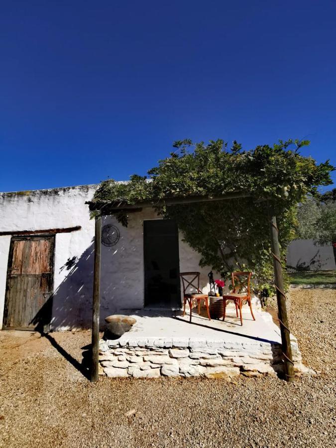 Olive Grove Cottage Koringberg Luaran gambar