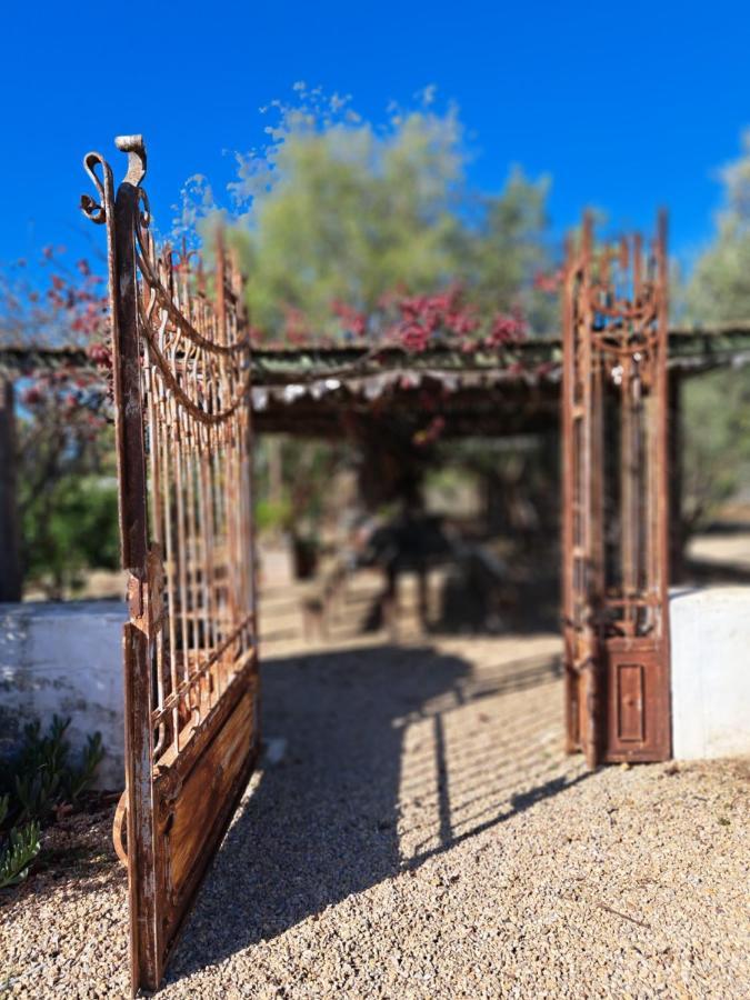 Olive Grove Cottage Koringberg Luaran gambar