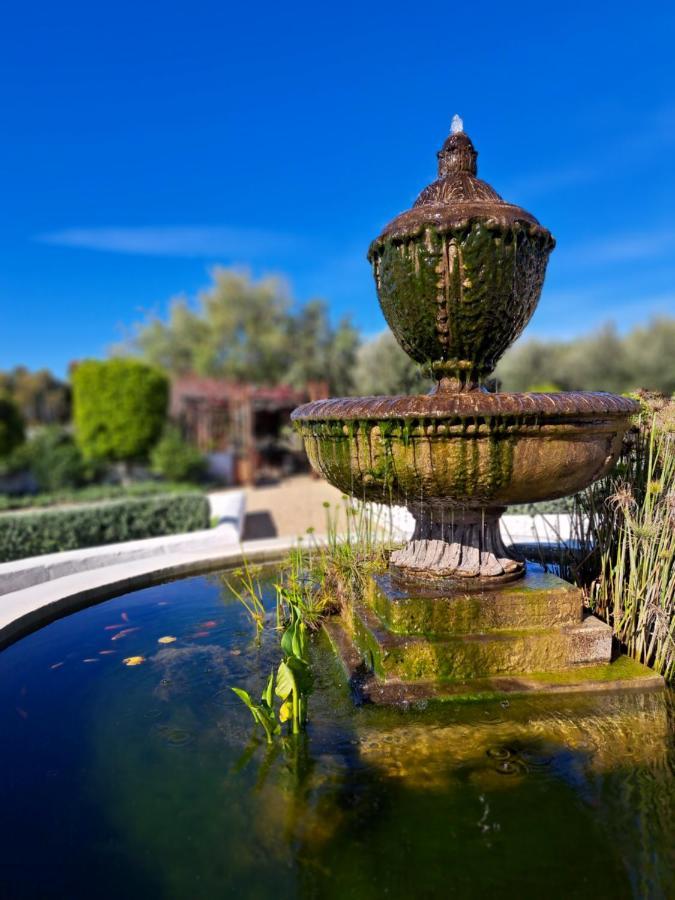 Olive Grove Cottage Koringberg Luaran gambar