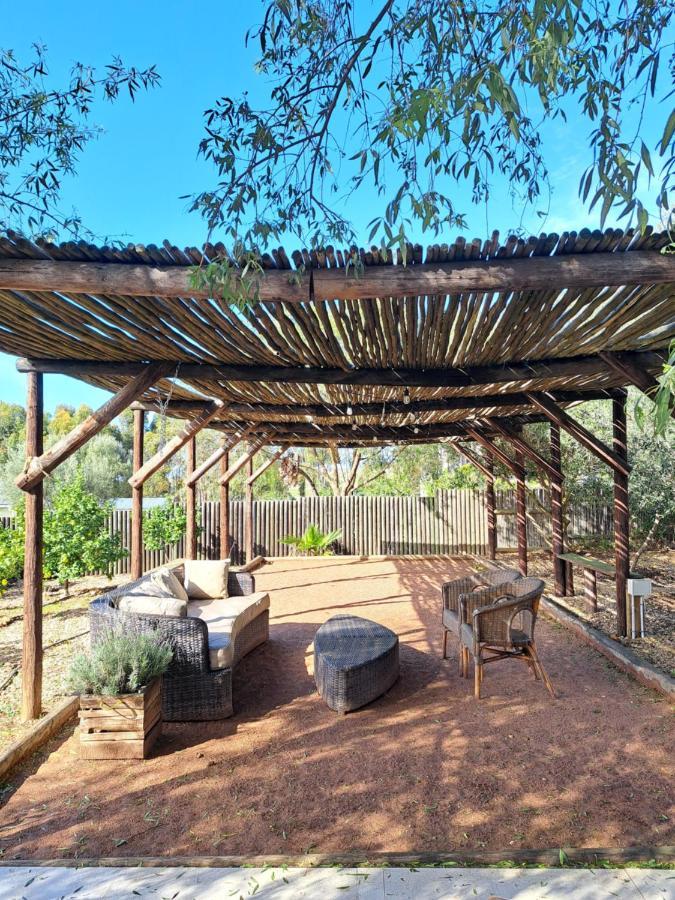 Olive Grove Cottage Koringberg Luaran gambar